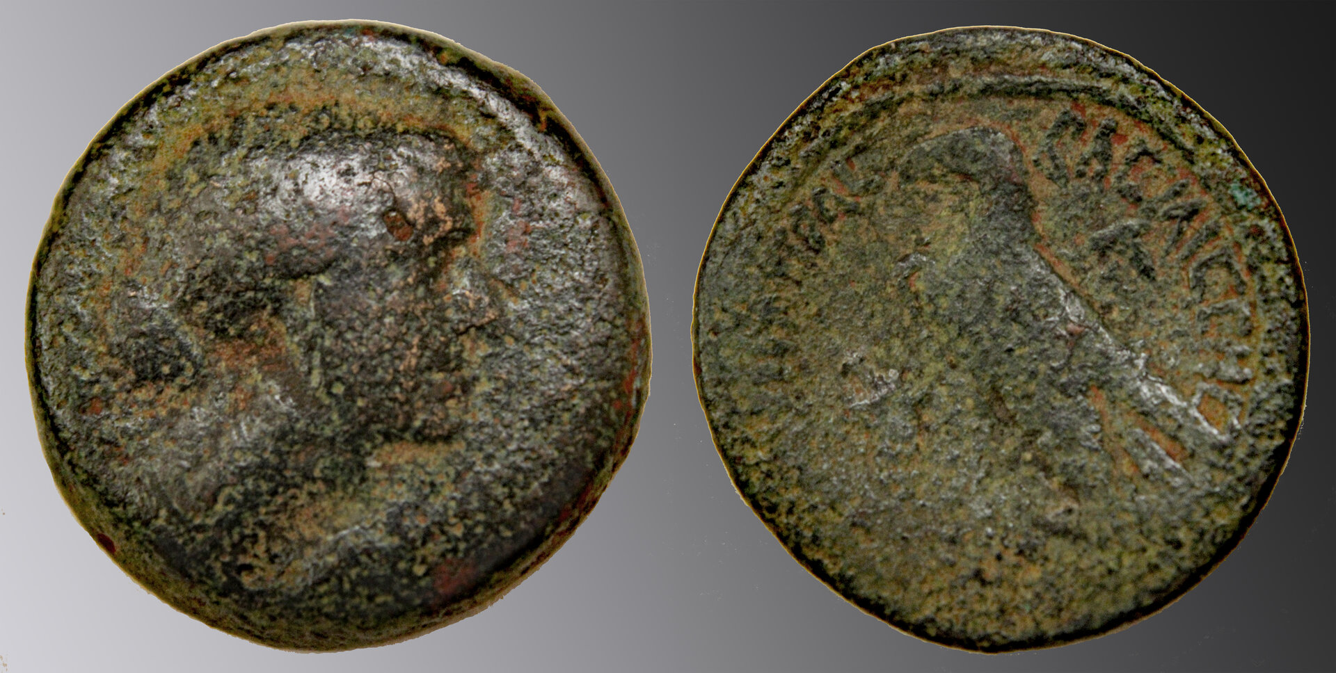 D-Camera Egypt Cleopatra VII 80 drachmae 50-31 BC Sear 1871 17.4g 5-5-21.jpg
