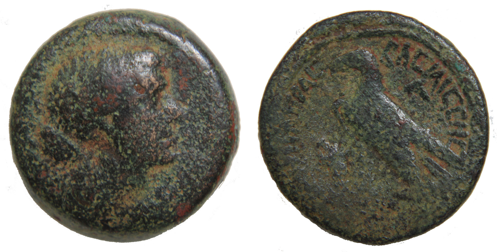 D-Camera Egypt, Cleopatra VII, 80 drachmea, 17.4 grams  5-27-20.jpg
