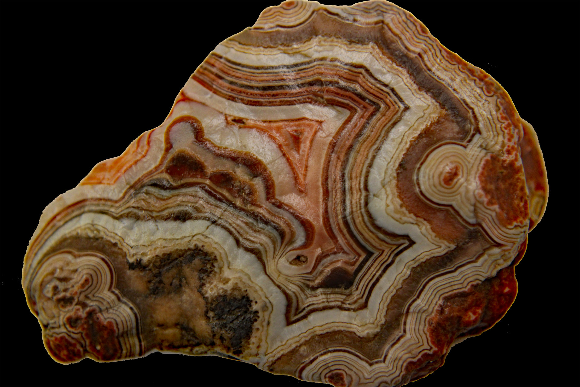 D-Camera Fairburn Agate, South Dakota, Other Side, Salmon Center, 7-8-20.jpg