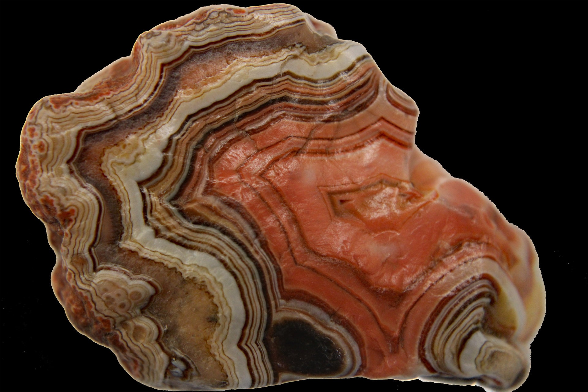 D-Camera Fairburn Agate, South Dakota, Salmon Center, 7-8-20.jpg