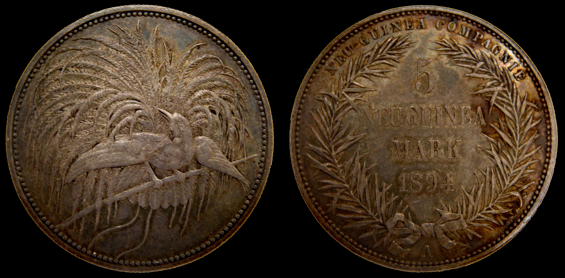 D-Camera Germany, New Guinea, 1894, 5 marks, 'Bird of Paradise', 27.8 g, 9-7-20.jpg