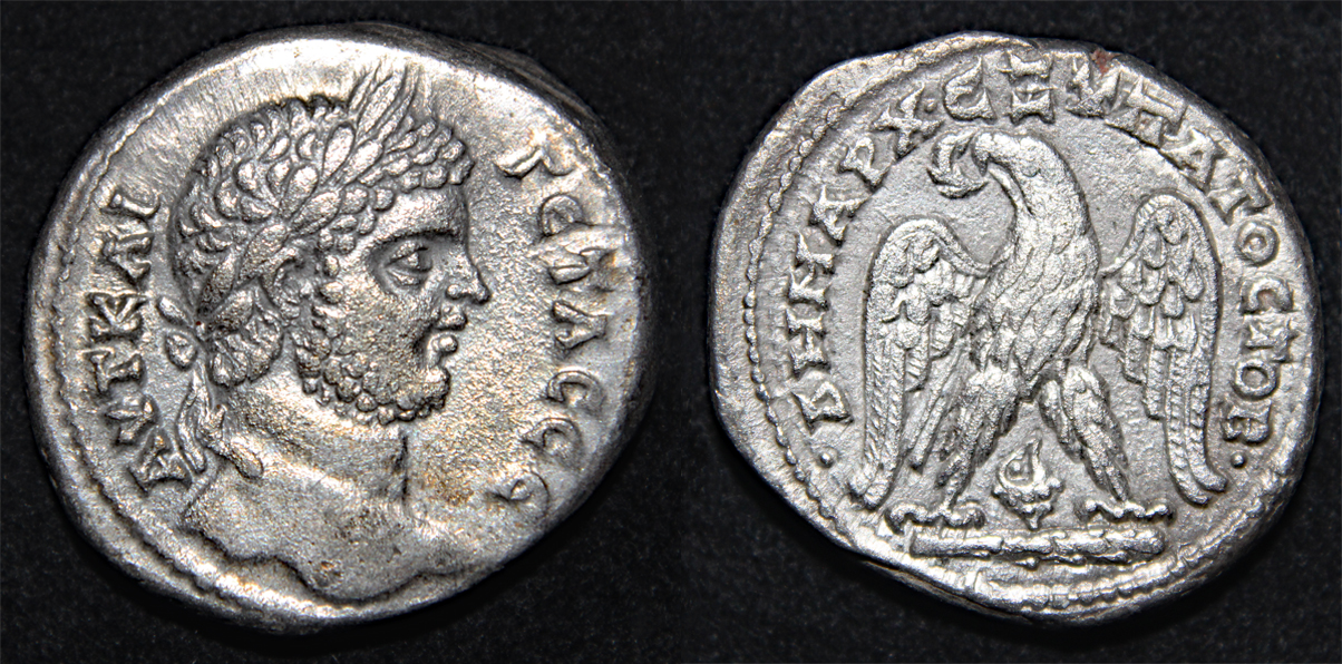 D-Camera Geta tetradrachm Tyre 209-212AD Prieur 1541 13.86g 5-15-22.jpg