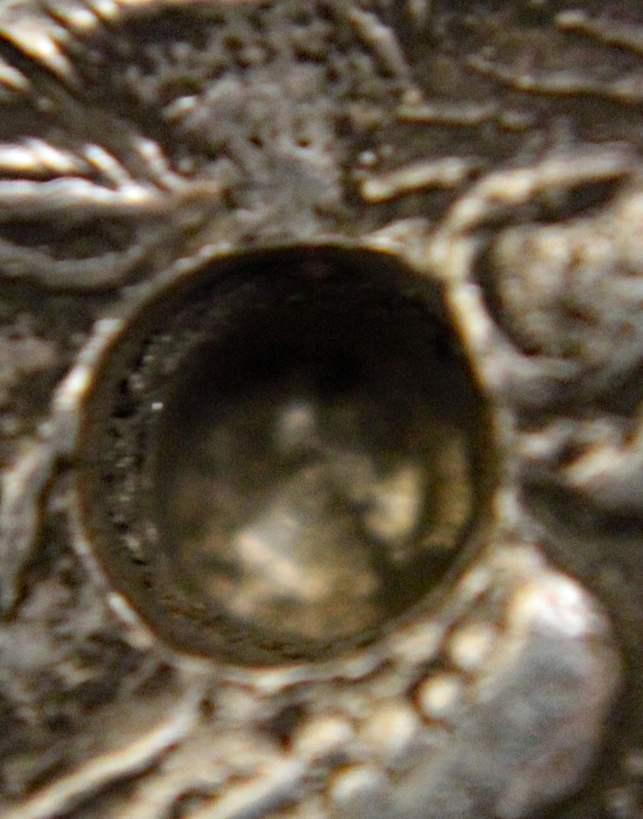 D-Camera Imitation Athens Tetradrachm, Large Test Hole.3 Berkeley, 5-6-20.jpg