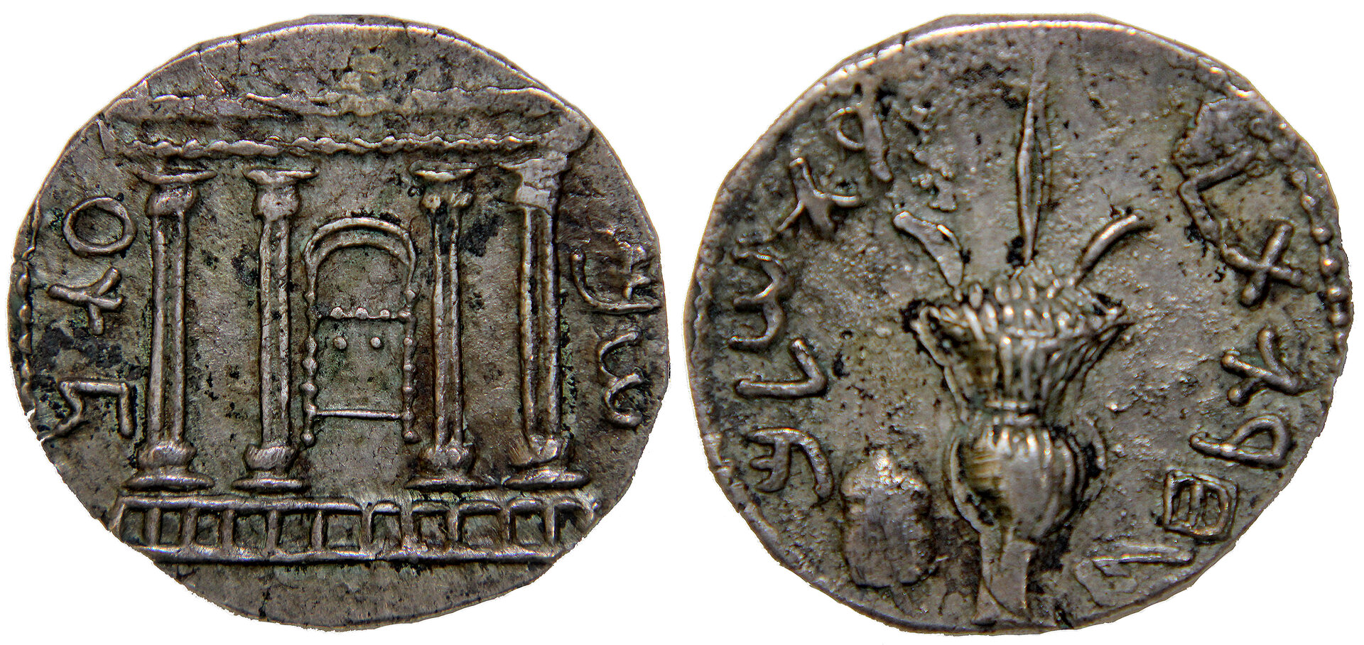 D-Camera Judea, Shekel, Bar Kochba,, edited Second Revolt, No Date,, 12-24-21.jpg