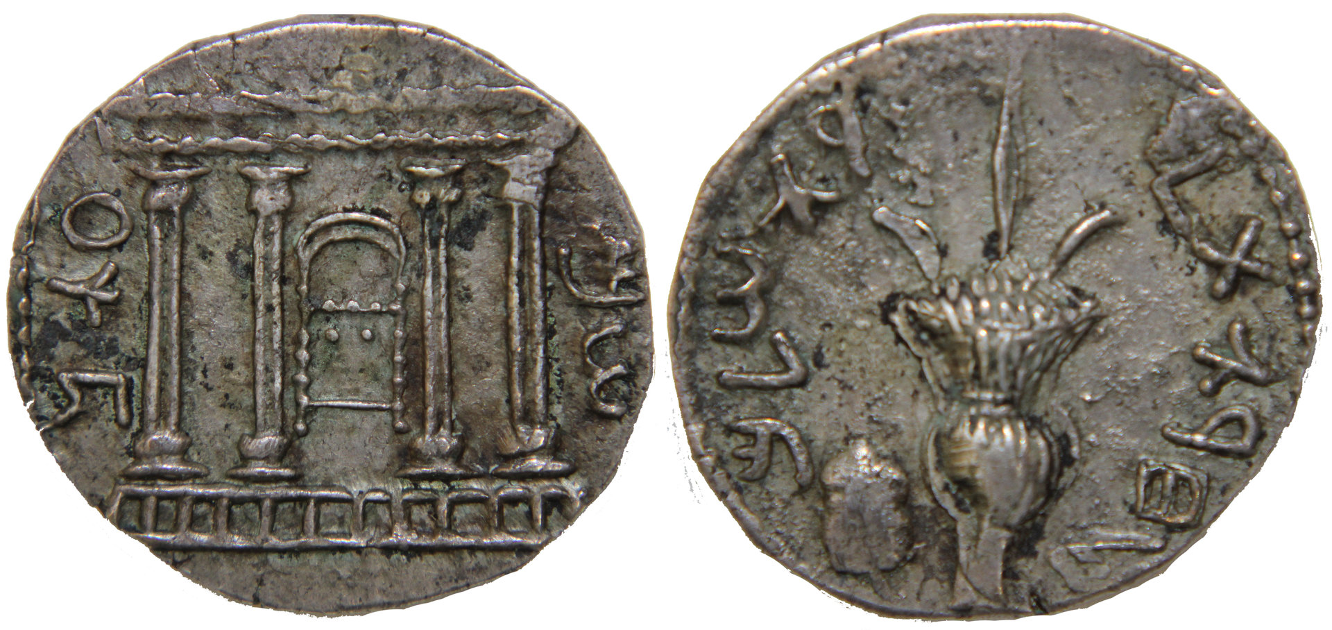 D-Camera Judea, Shekel, Bar Kochba, Second Revolt, No Date,, 6-21-20.jpg