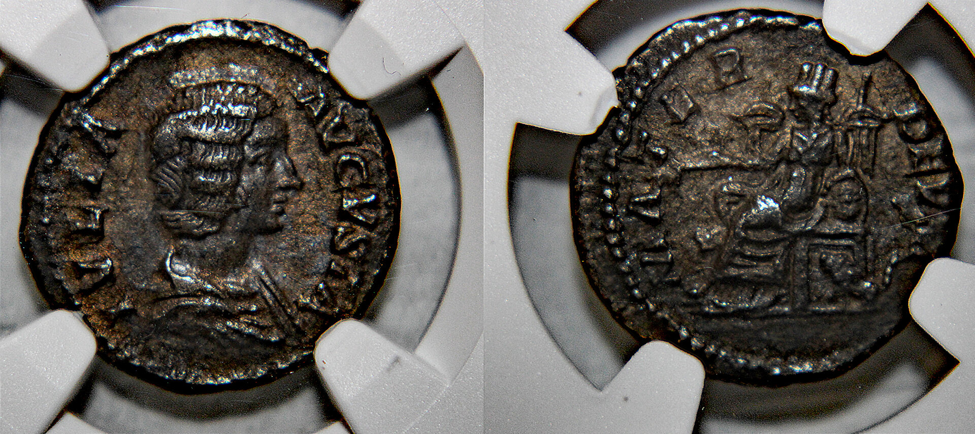 D-Camera Julia AR denarius, MATER DEVM, C 123 12-21-20.jpg
