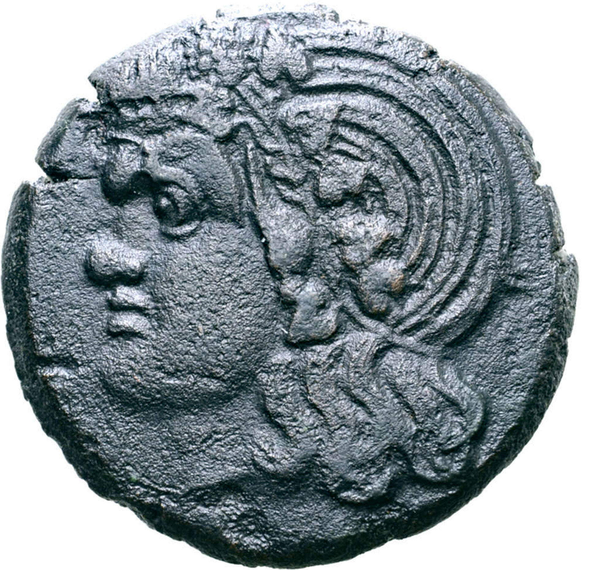 D-Camera Kimmerian Bosporos AE 27 Pan Obverse image only 9-14-21.jpg