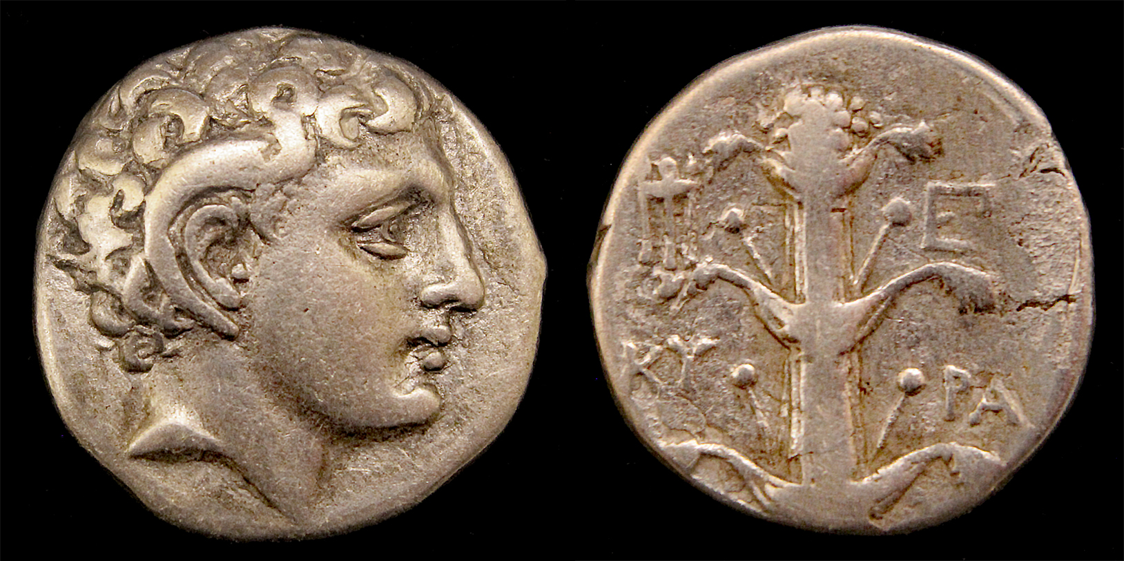 D-Camera Kyrenaica Kyrene temp Magas didrachm 294-275 BC 7.57 grams 3-22-23.jpg