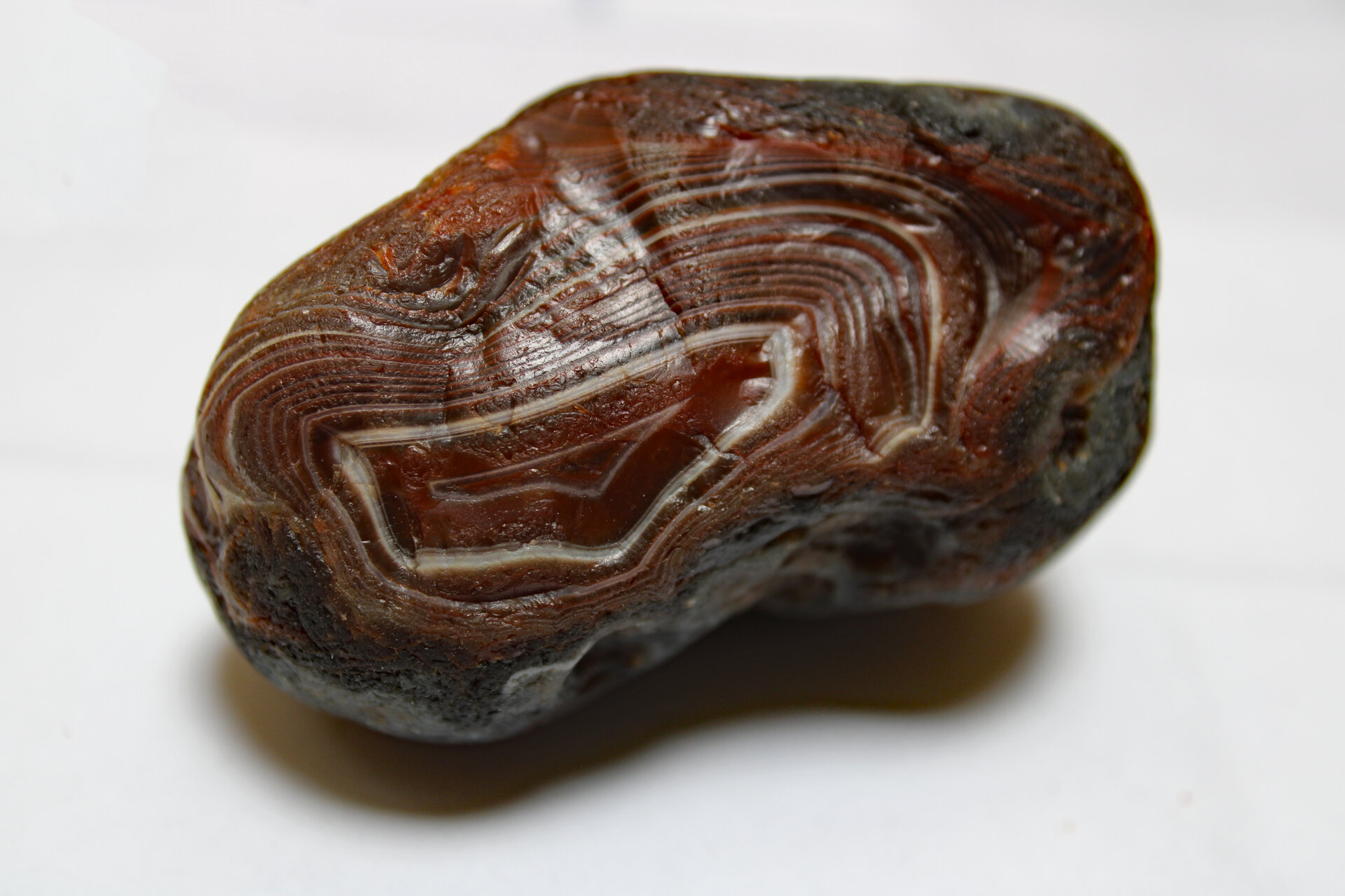 D-Camera Lake Superior agate 304.9g  1bil yrs old  80x35x50mm 4-10-21.jpg