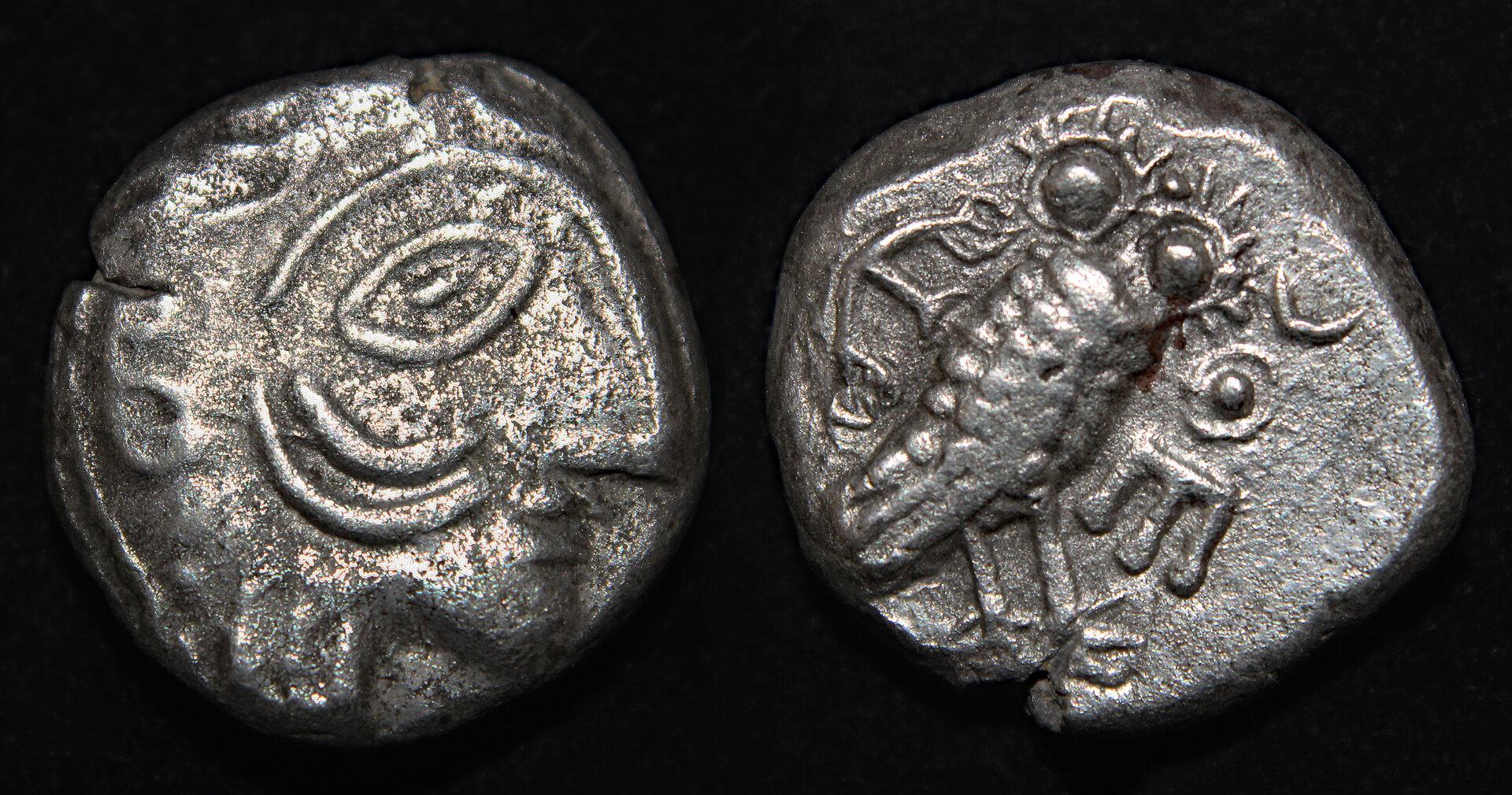 D-Camera Lihyan. silver owl 2nd-1st cen BC 13.02g CNG eAuction 529 log 348  2-17-23.jpg