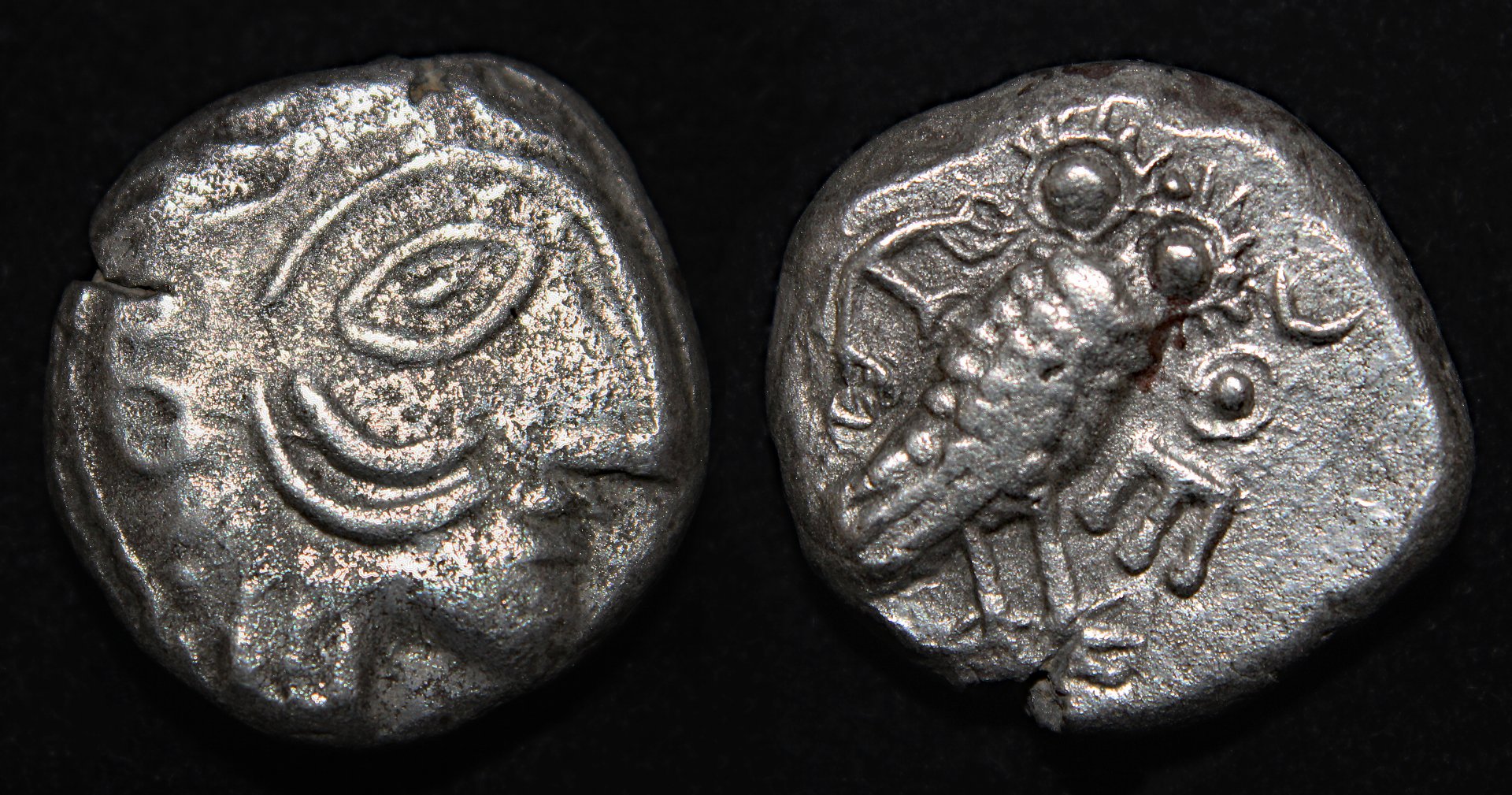 D-Camera Lihyan. silver owl 2nd-1st cen BC 13.02g CNG eAuction 529 log 348  2-17-23.jpg