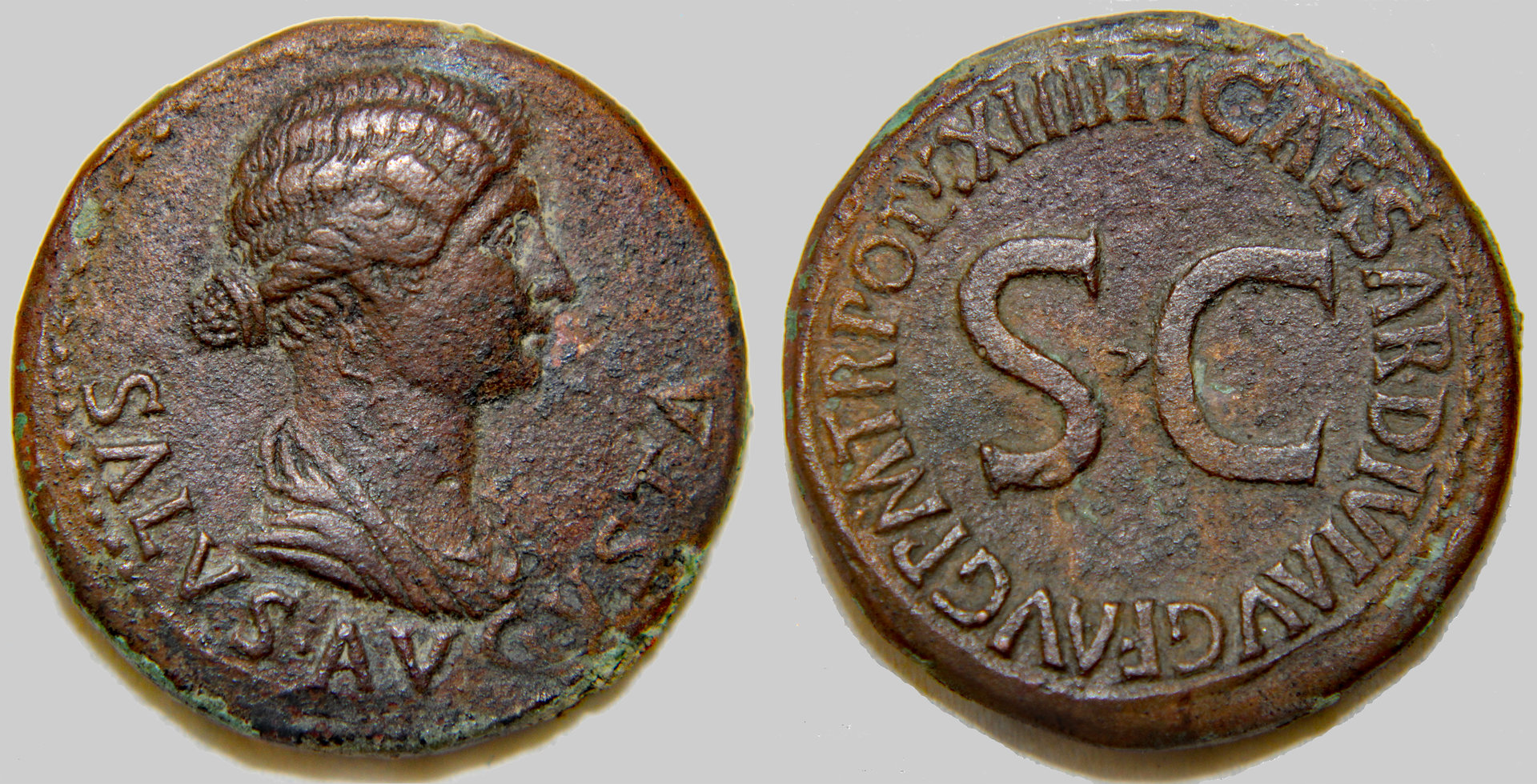 D-Camera  Livia, dupondius, reshoot,  9-23-20.jpg