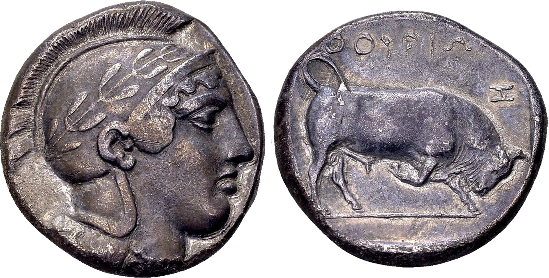 D-Camera Lucania, Tetradrachm, Improved Image, MA Shops, 6-23-20.jpg