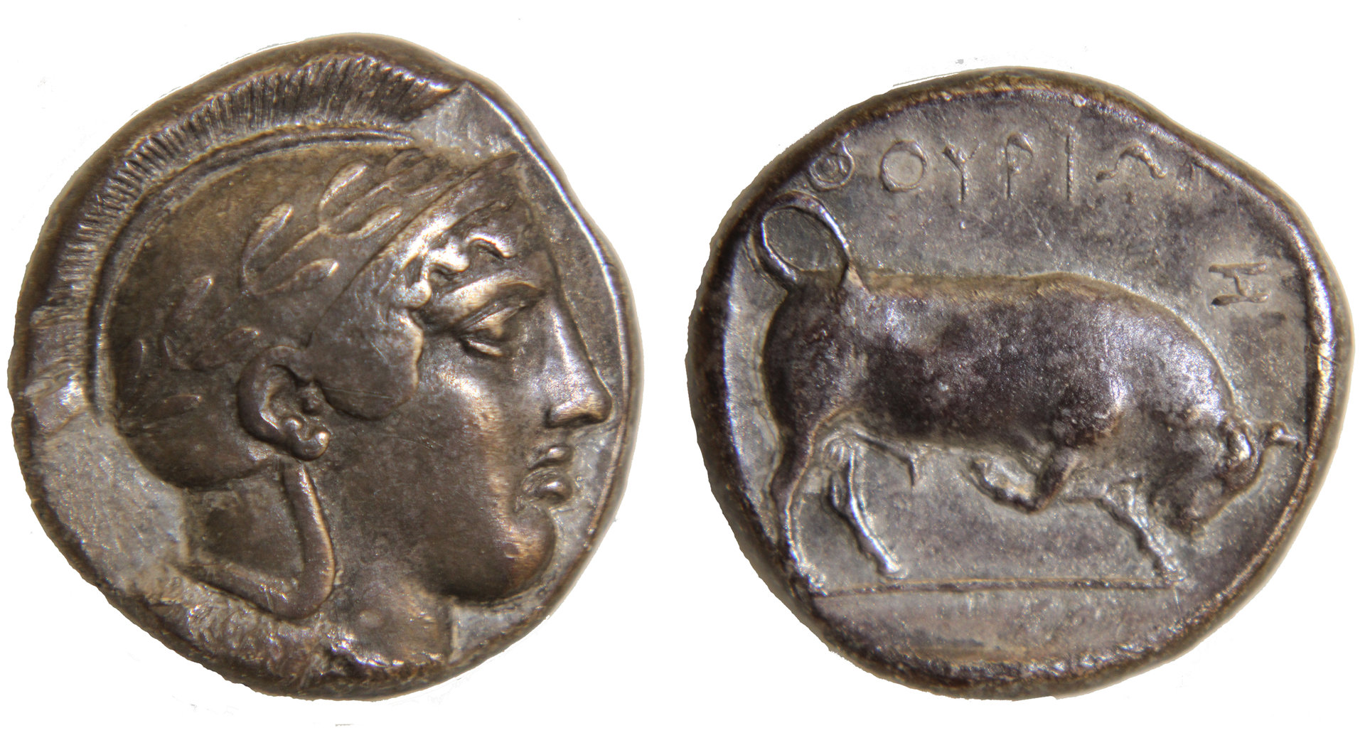 D-Camera Lucania, Thurium Tetradrachm, 443-400 BC, Good VF, 5-12-20.jpg