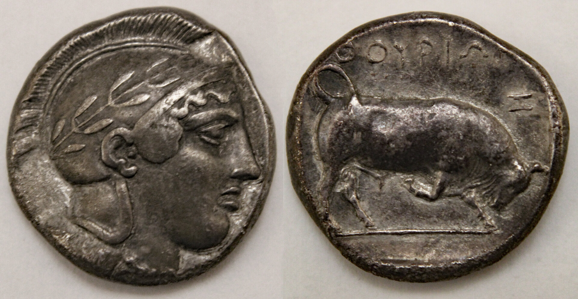 D-Camera Lucania Thurium tetradrachm double nomos 443-400 BC 15.47g Reshoot 4-6-21.jpg