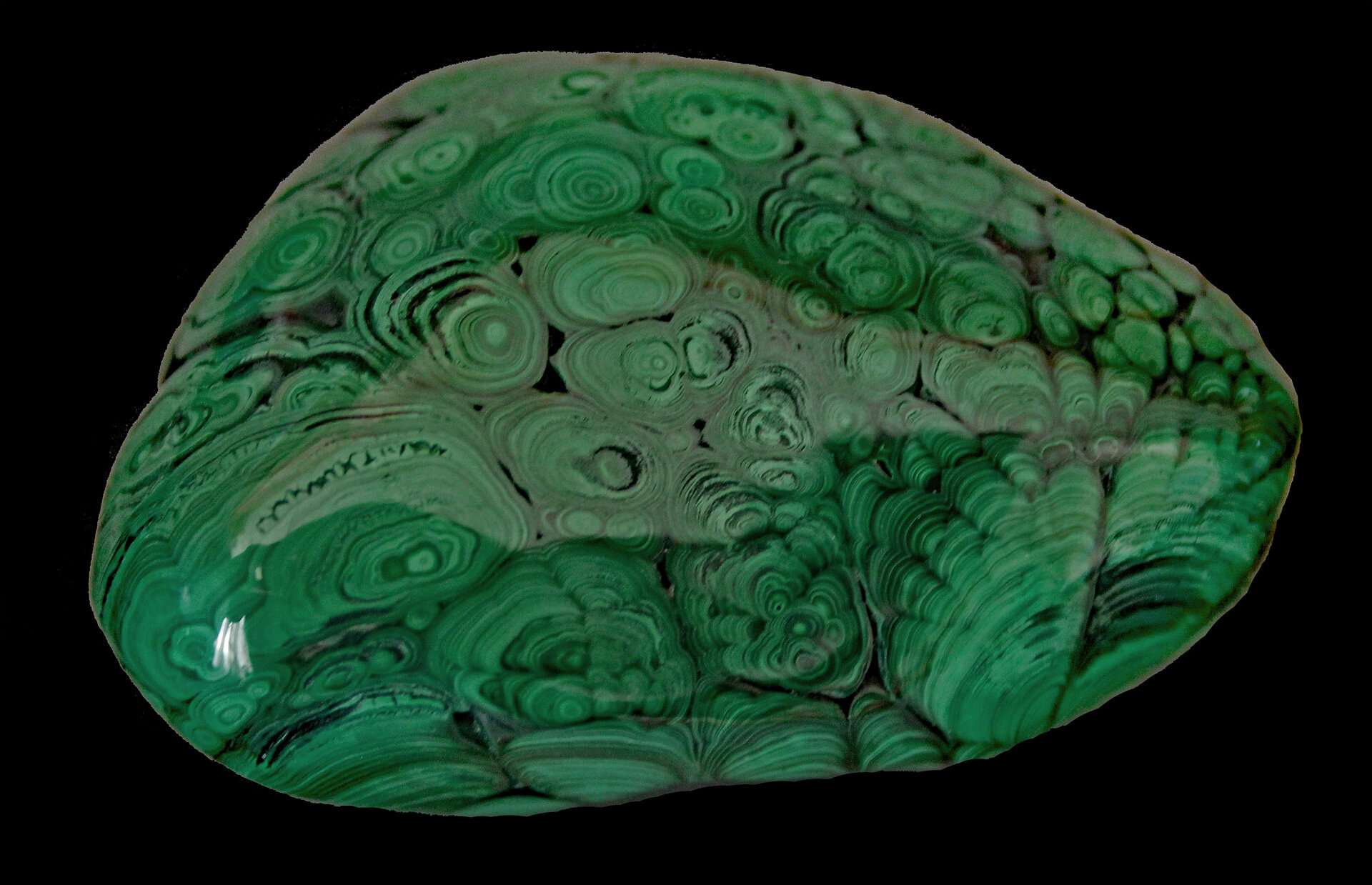 D-Camera Malachite, Shaba Province, Democratic Republic of the Congo 286 grams 3-3-21.jpg