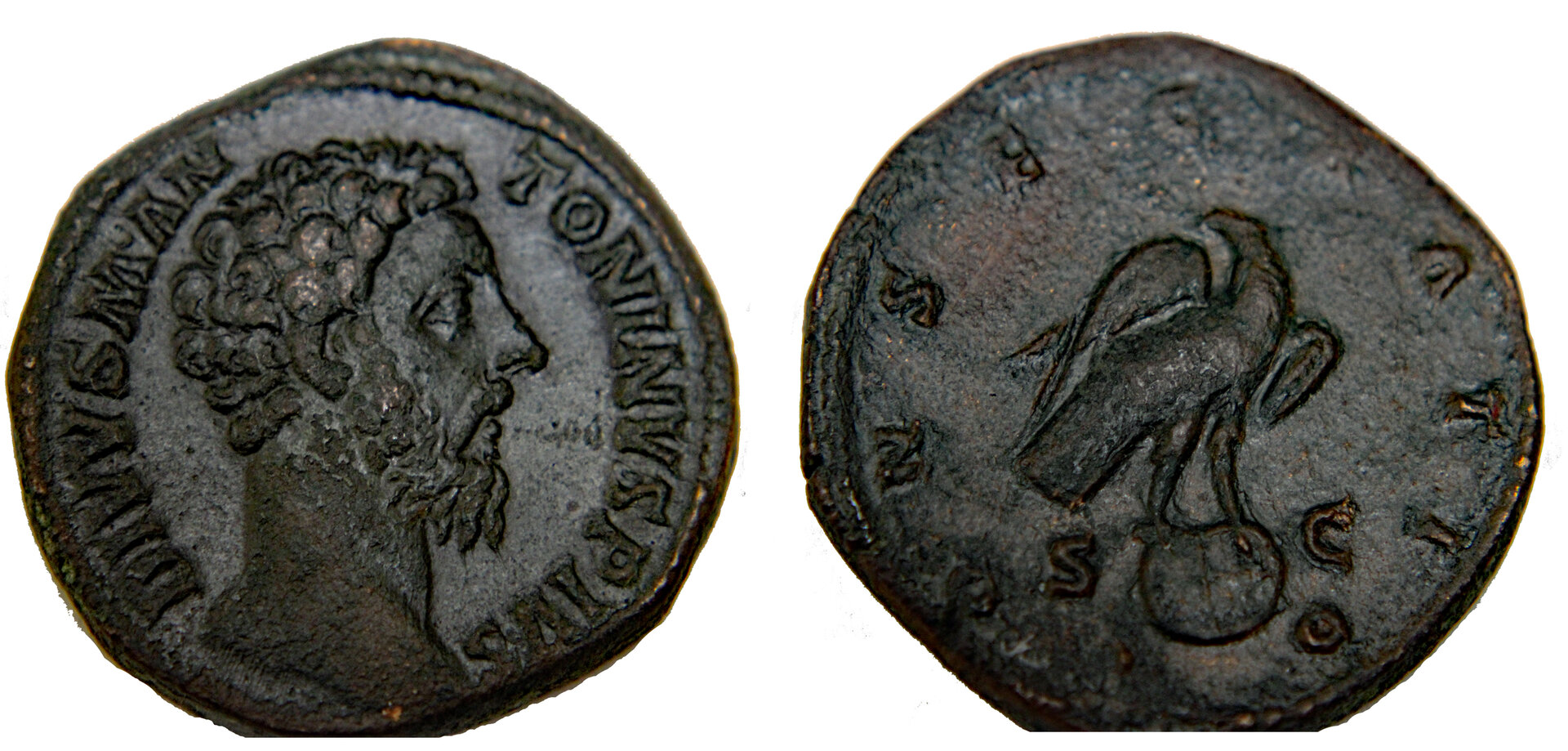D-Camera Marcus Aurelius Sestertius, Consecrato, 5-1-20.jpg