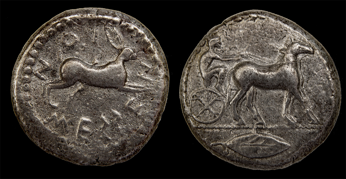 D-Camera Messana Tetradrachm,  480-461 BC, Roma Sale 55  6-6-20.jpg
