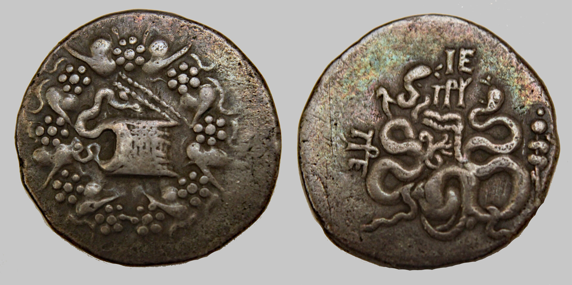 D-Camera Mysia, Pergamon cisophoric tet c76-67 BC 12.1g Pinder 109 8-8-21.jpg