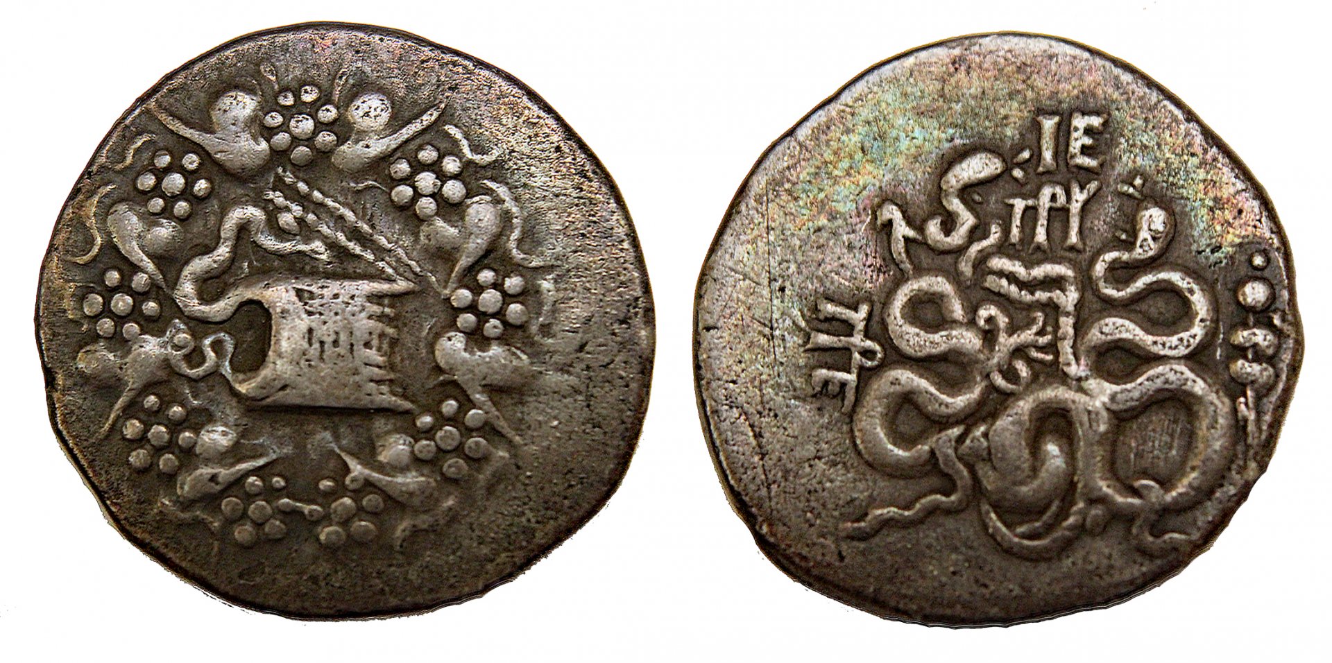 D-Camera Mysia, Pergamon cisophoric tet c76-67 BC 12.1g Pinder 109 8-8-21.jpg