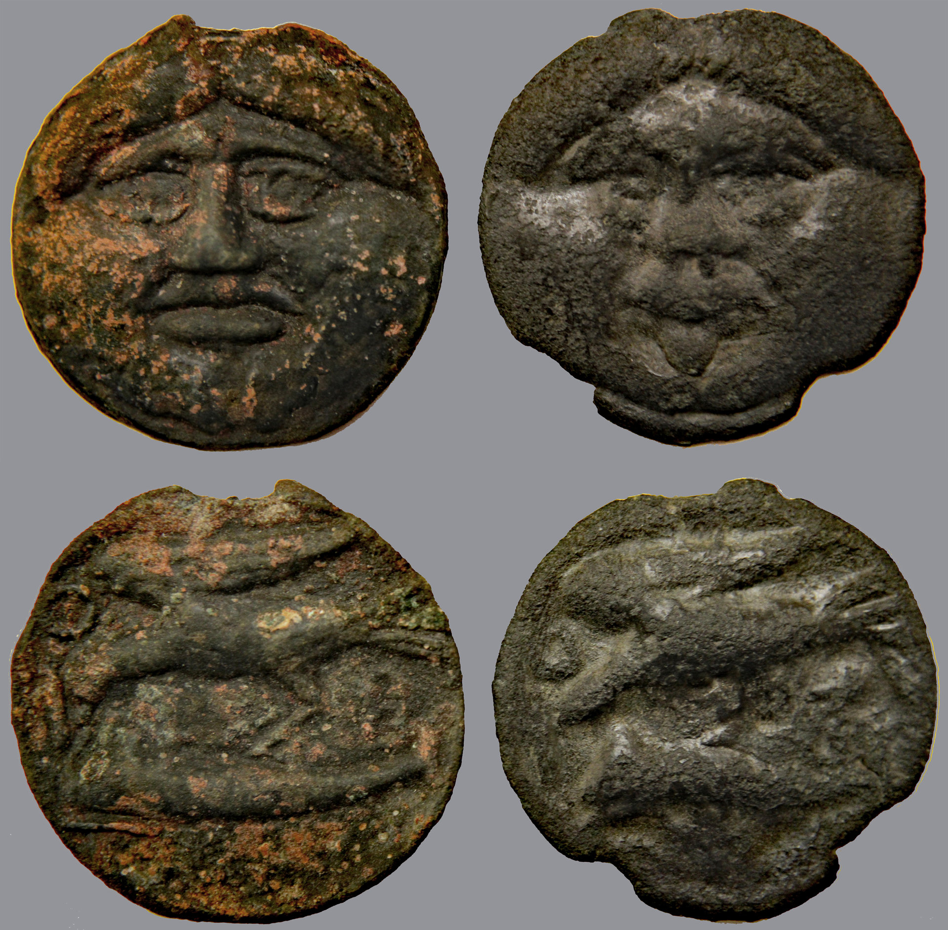 D-Camera Olbia, 2 AE gorgoneions, c 400-350 BC, 20.8 and 18.2 grams, 11-28 -20.jpg
