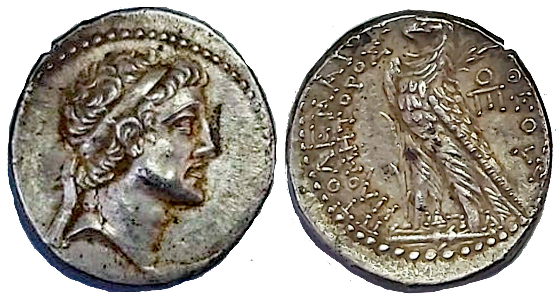 D-Camera  Possible Ptolemy , AR tetradrachm, 9-23-20.jpg