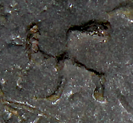 D-Camera Potosi 8 reales Philip IV (162)9 swastika chop mark detail 3-29-23.jpg