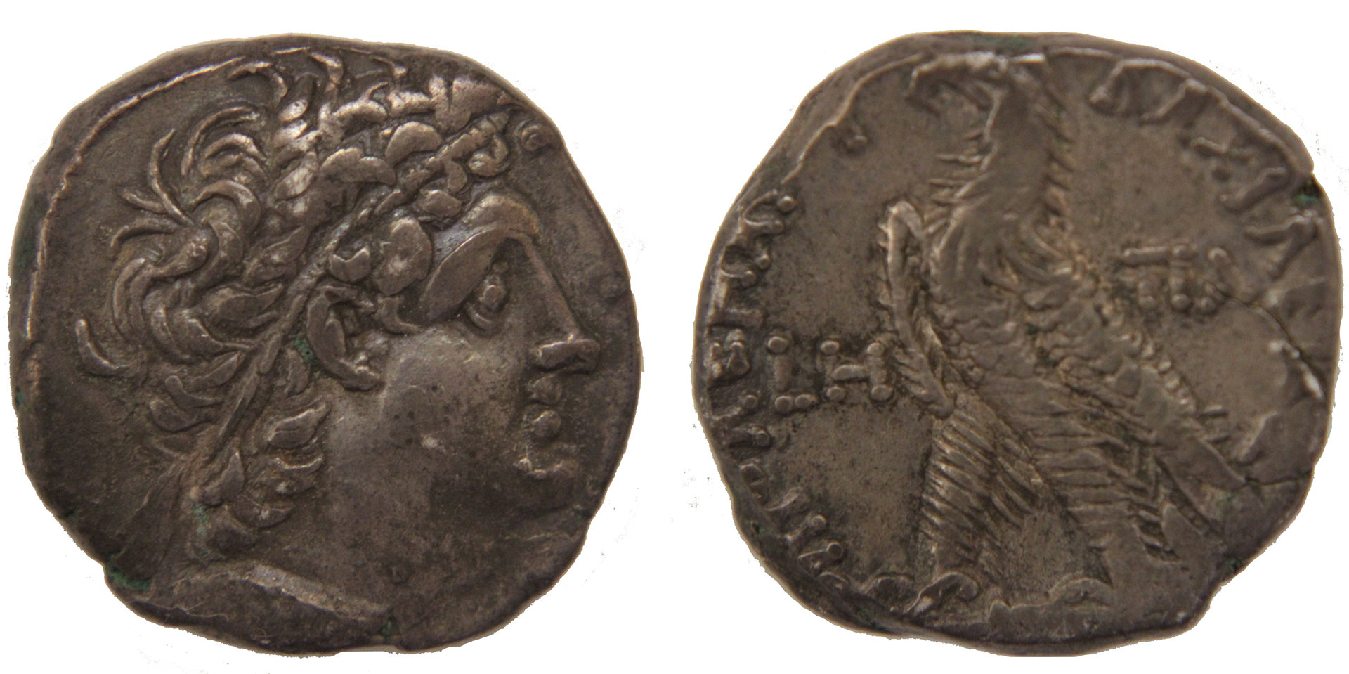 D-Camera Ptolemy XII Tetradrachm, 73-72 AD, Year 8, 2019 eBay purchase, Iseael,  6-4-20.jpg