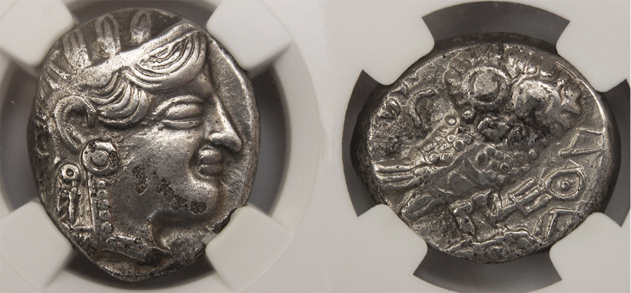 D-Camera Qataban owl c350-300BC monog van alfen studies type QI.C 16.42g NGC 6-1-22.jpg