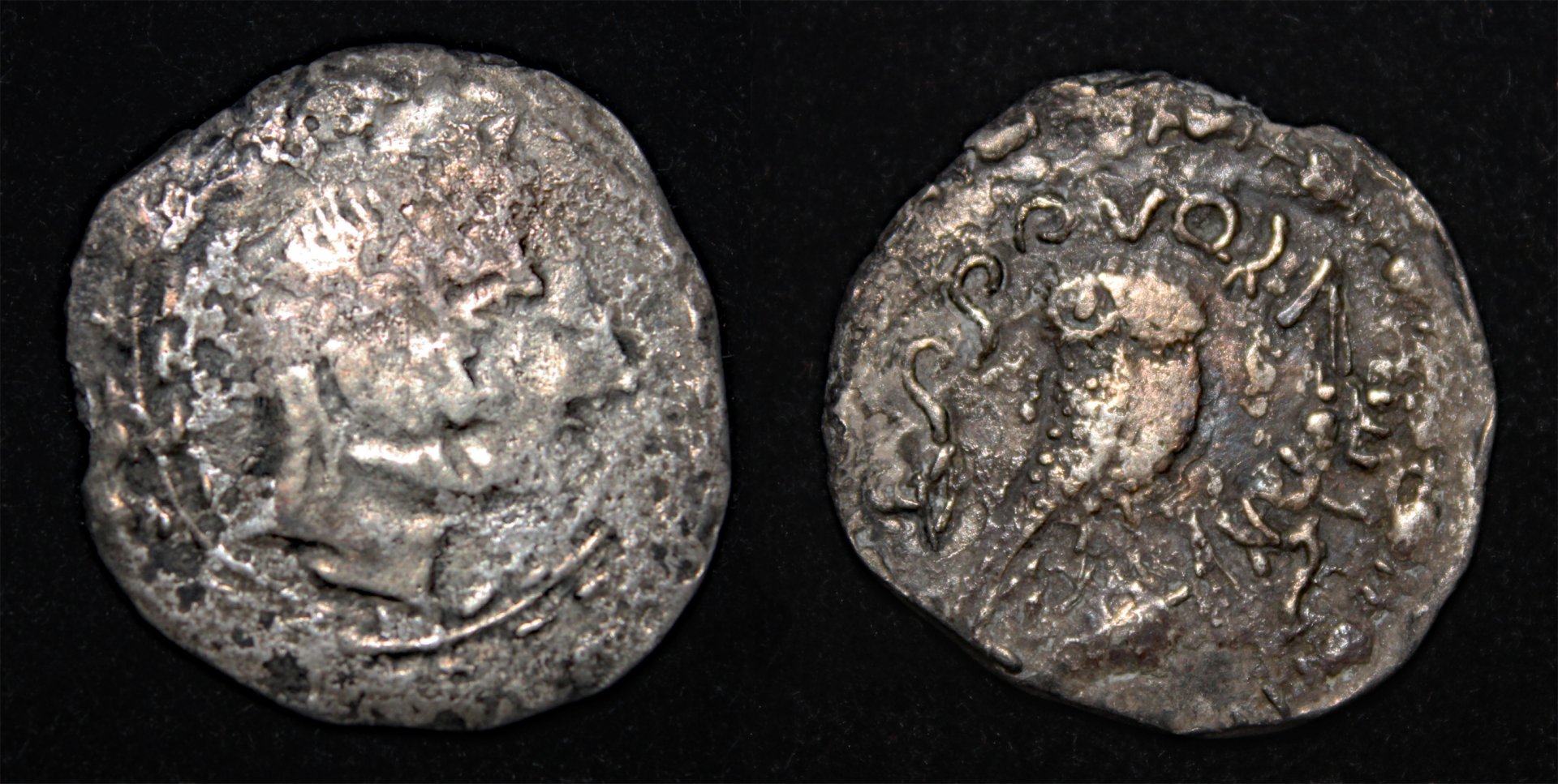 D-Camera Saba South Arabia AR unit 2nd-1st cen BC jugate ports 4.26 grams 7-3-24.jpg