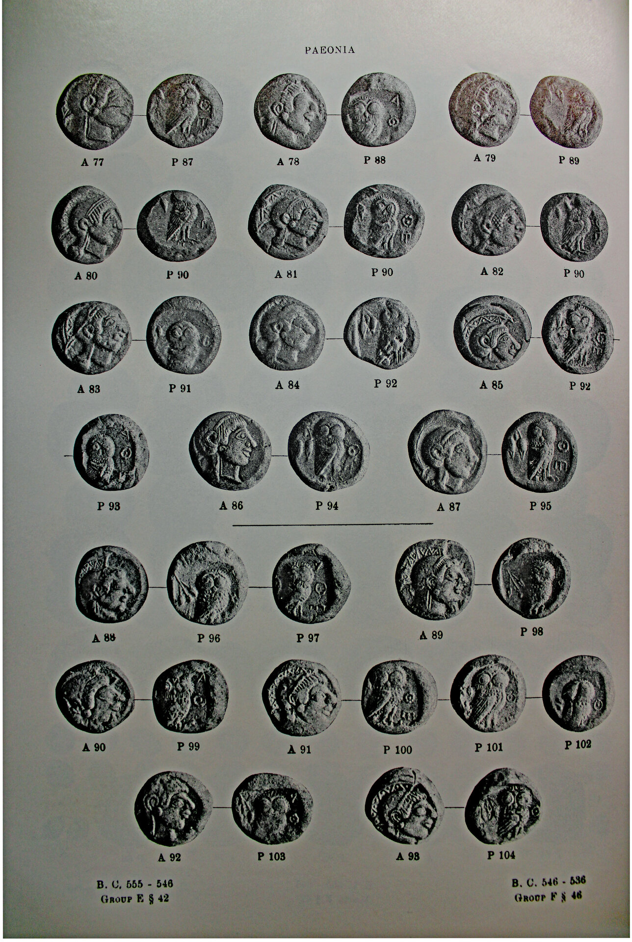 D-Camera Seltman Coin Plate example.jpg