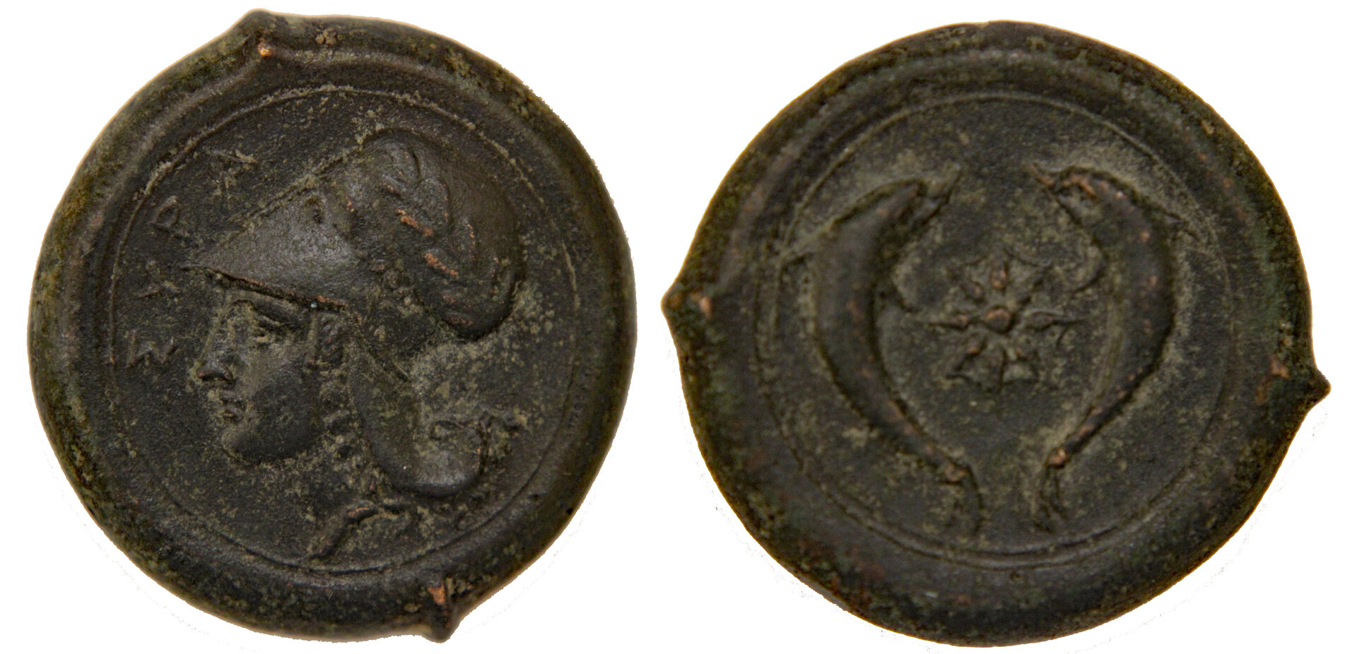 D-Camera  Syracuse AE 29 Litra, 344-336 BC, 7-28-20.jpg