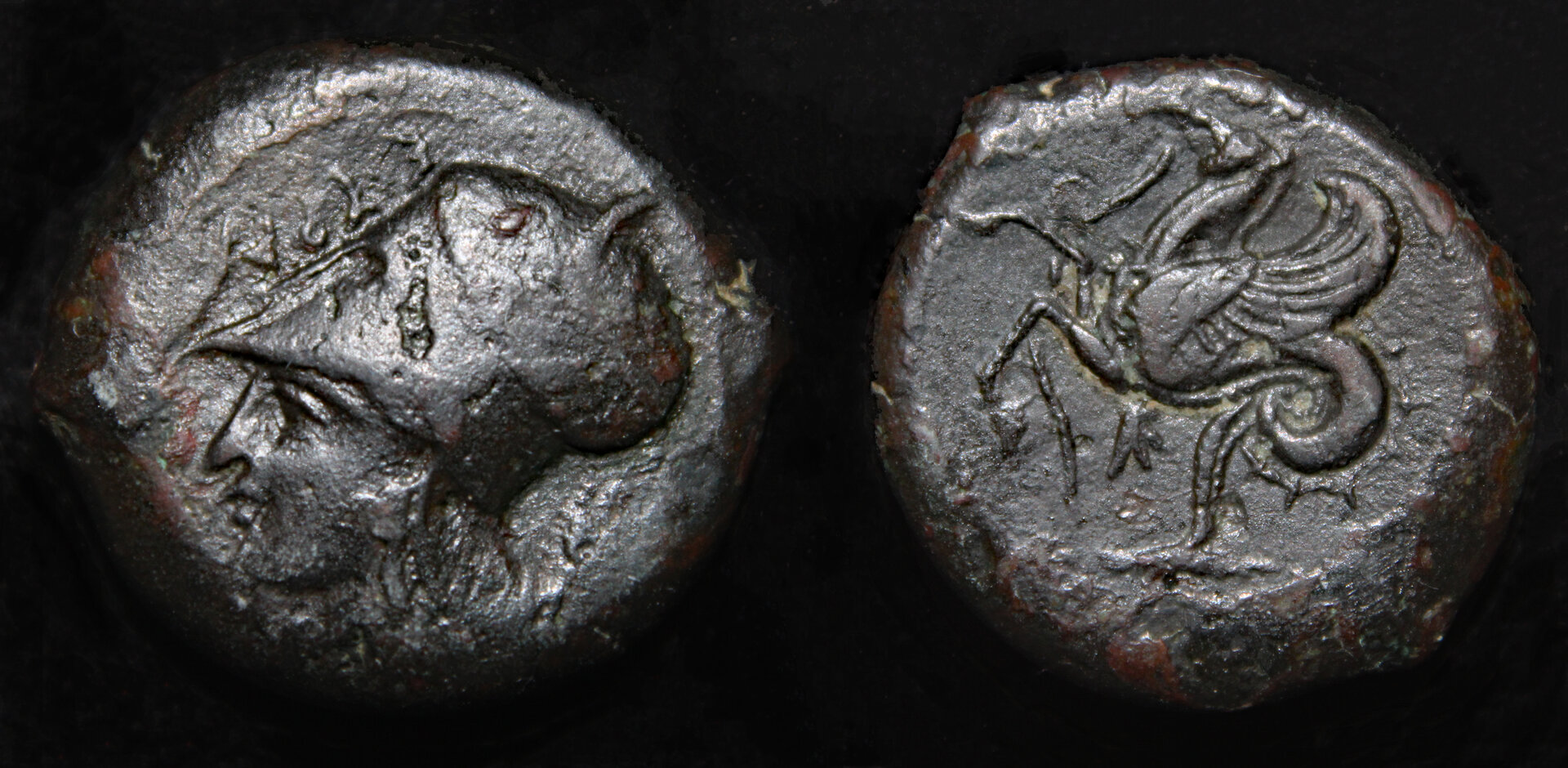 D-Camera Syracuse AE Litra c. 390BC SNG ANS 435 7.12g 3-8-22.jpg