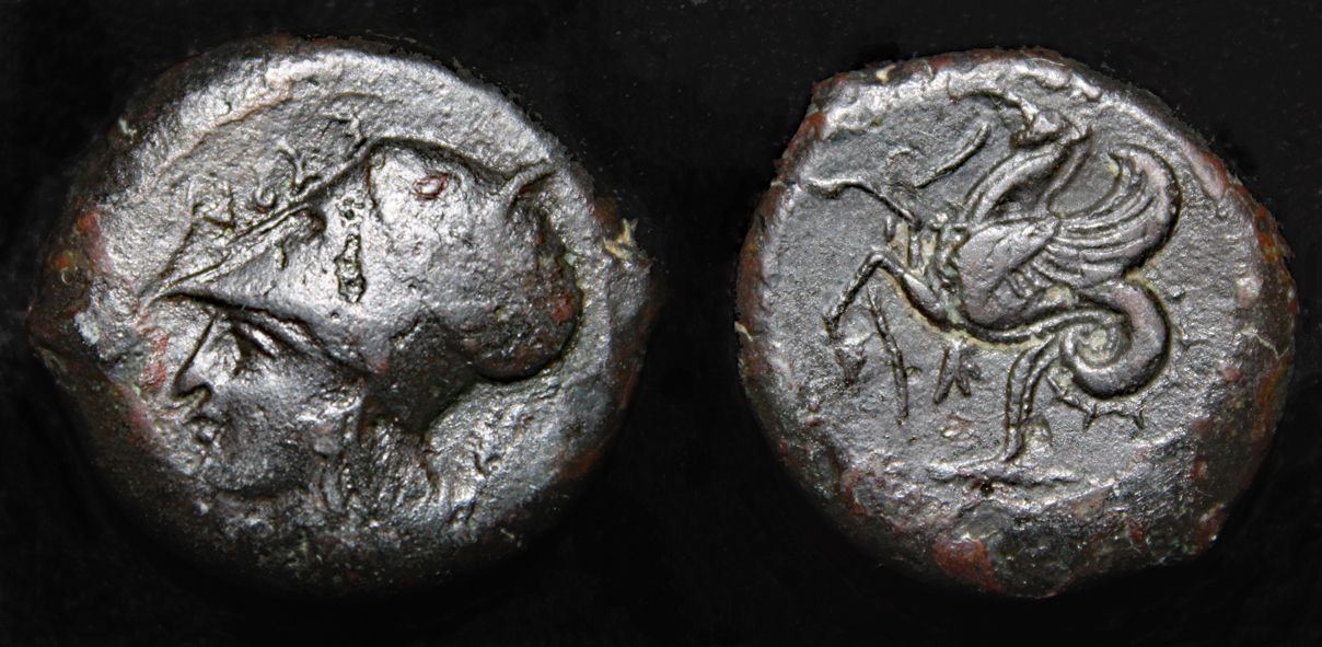 D-Camera Syracuse AE Litra c. 390BC SNG ANS 435 7.12g 3-8-22.jpg