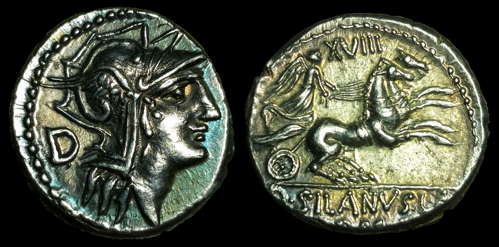D Silanus Lf Denarius.png
