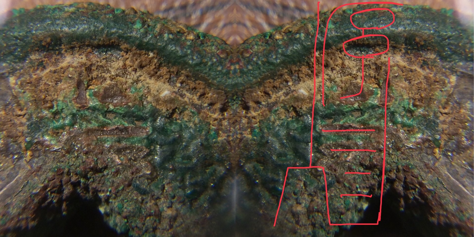 D03490C5-882D-496D-A15F-A0DACB7505CA.jpeg