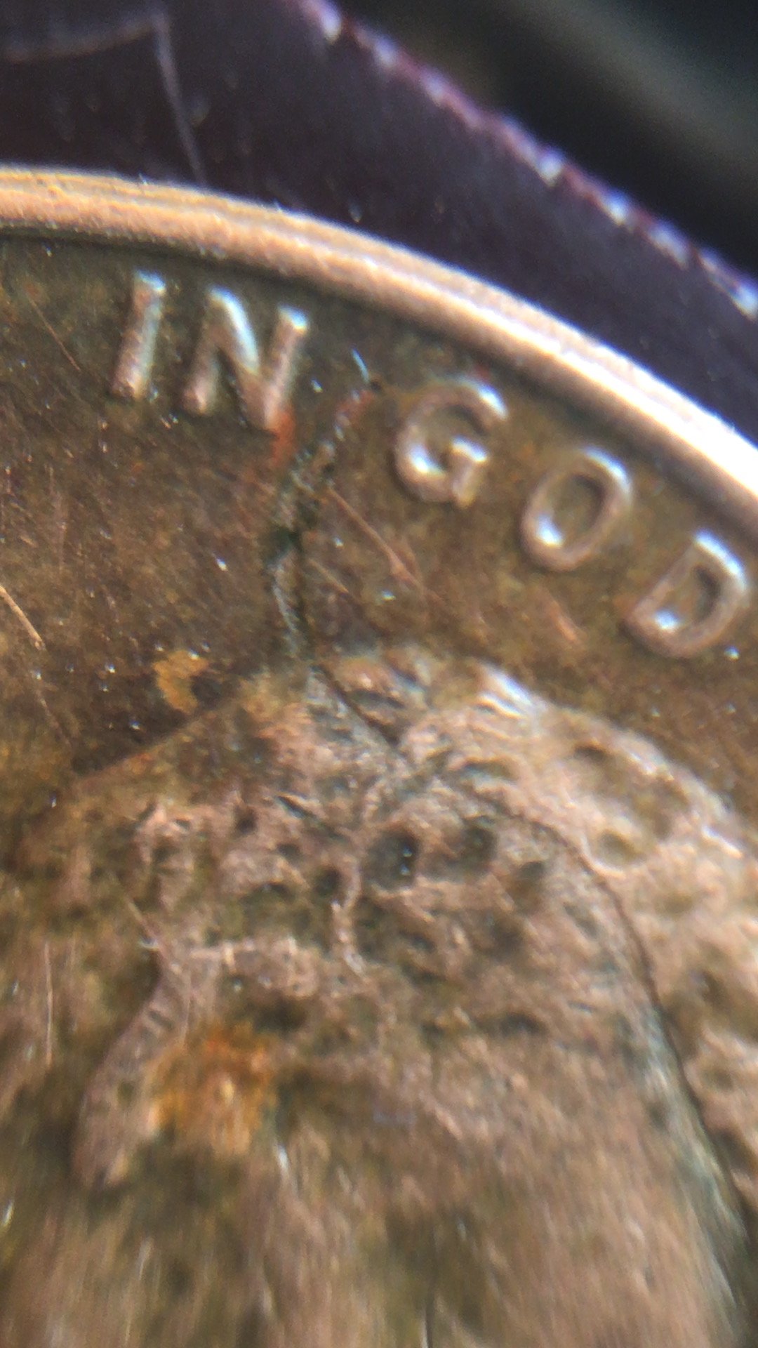 D041D01B-301C-49AB-9951-70BC43661269.jpeg