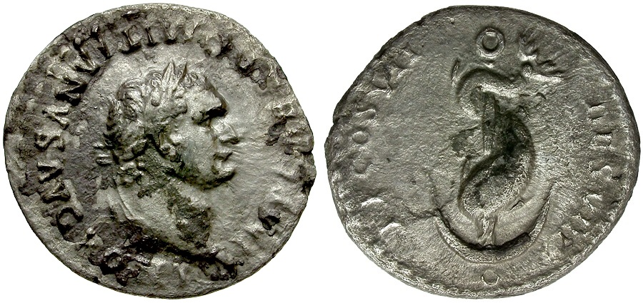 D12.jpg
