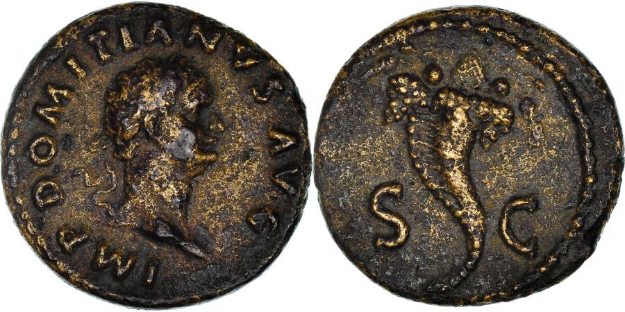D122.jpg