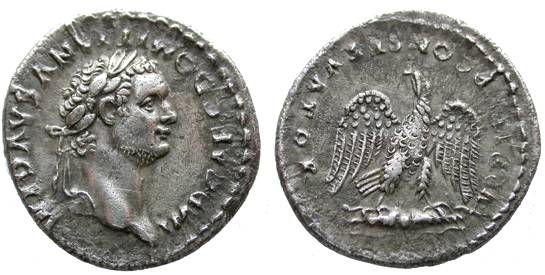 D144.jpg