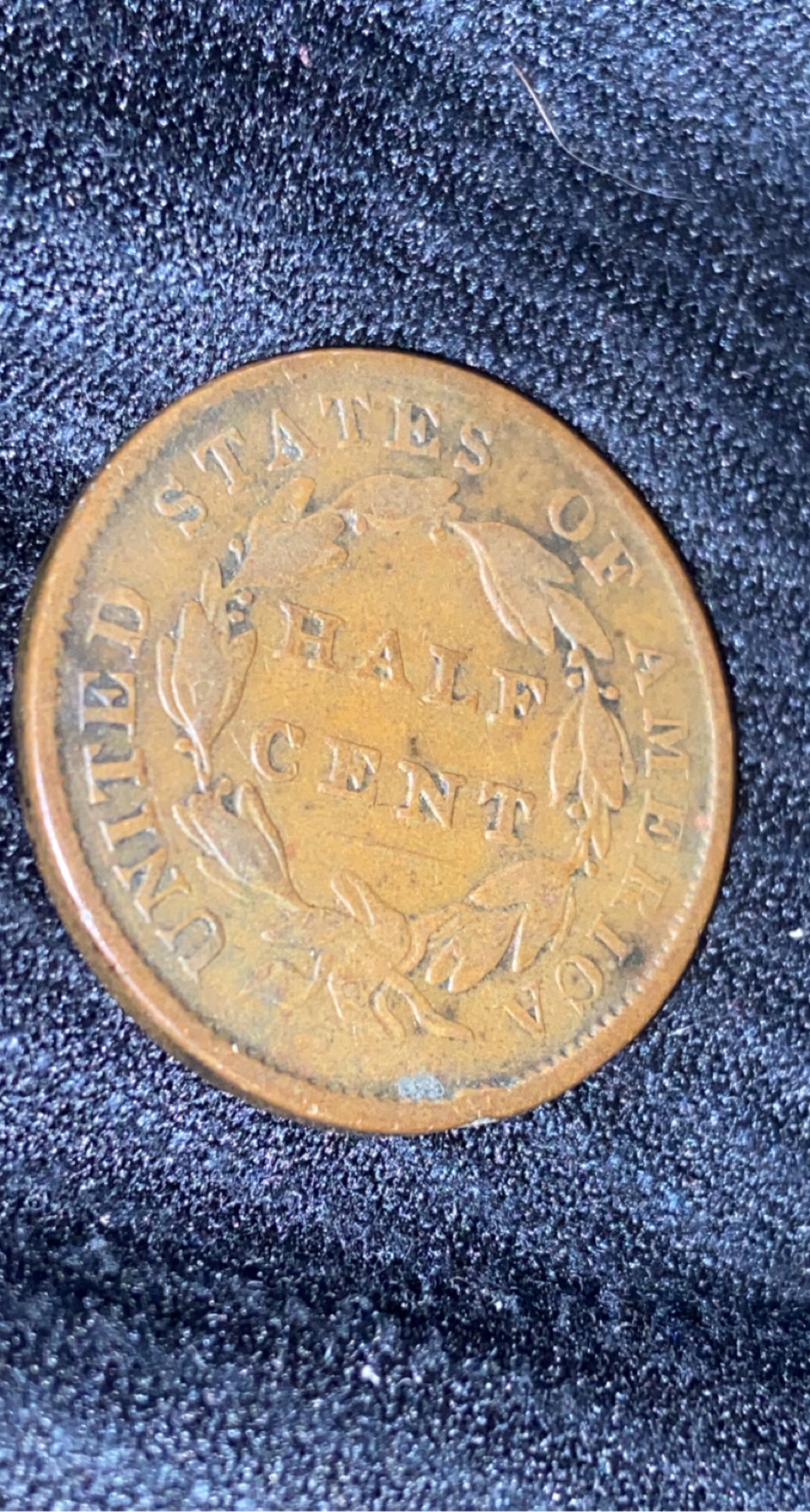 1835 half cent | Coin Talk