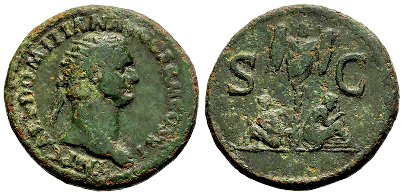 D295a.jpg