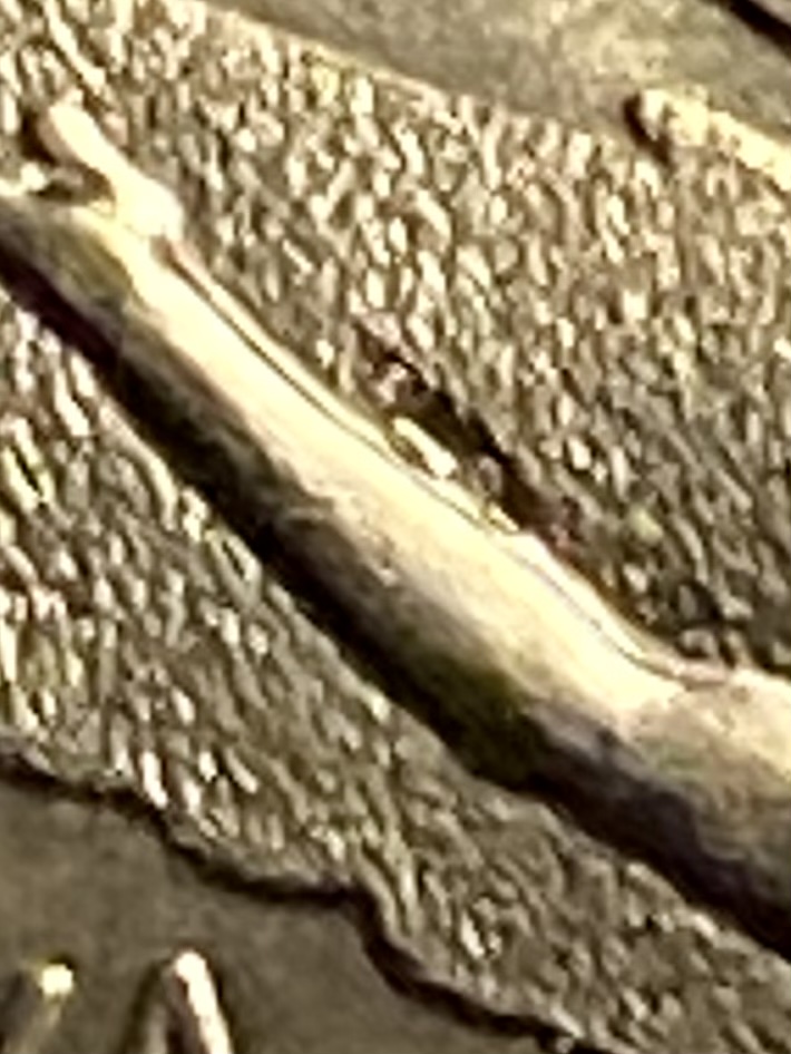 D38CCBE8-2CAA-4A45-88F9-E98268C1E268.jpeg
