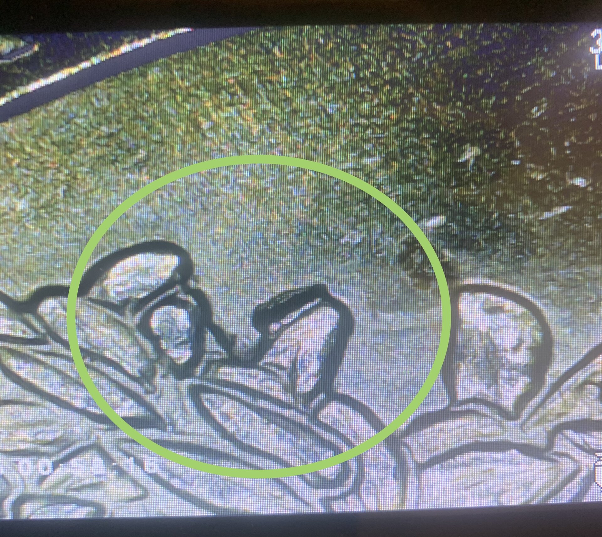 D3B84E4B-0BEF-406D-A446-790D68A19400.jpeg
