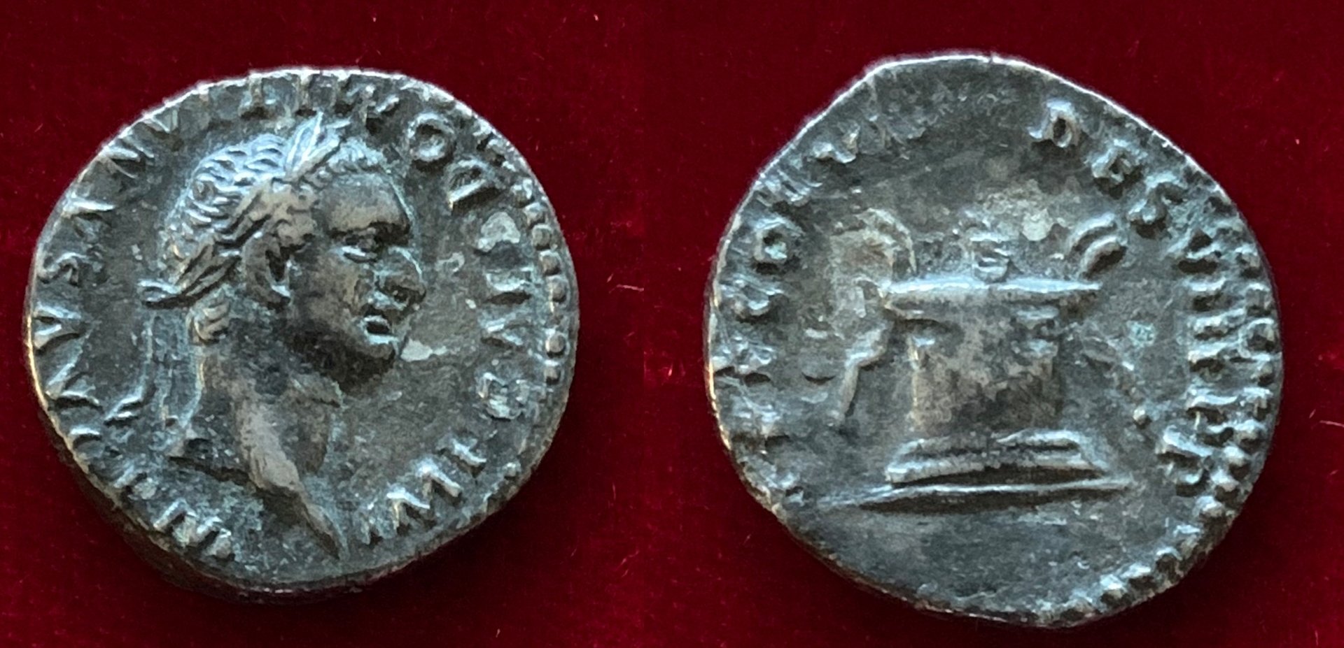 D43.jpg