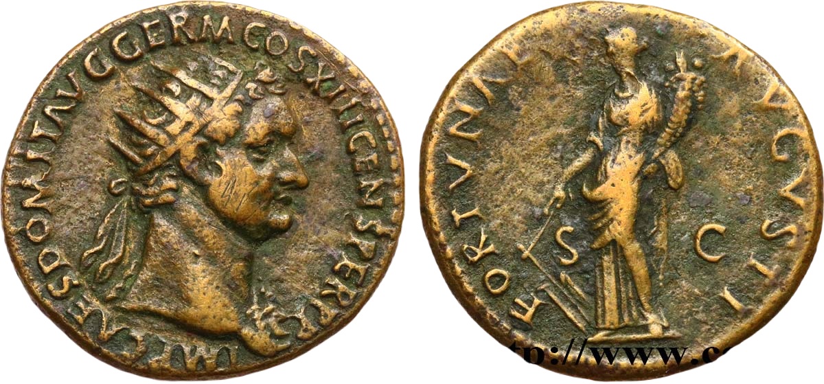 D536.jpg