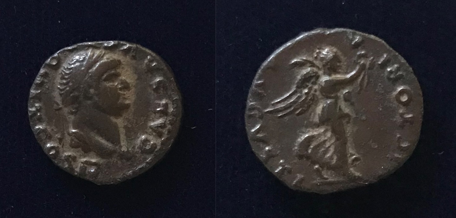 D560 Inumis.jpg
