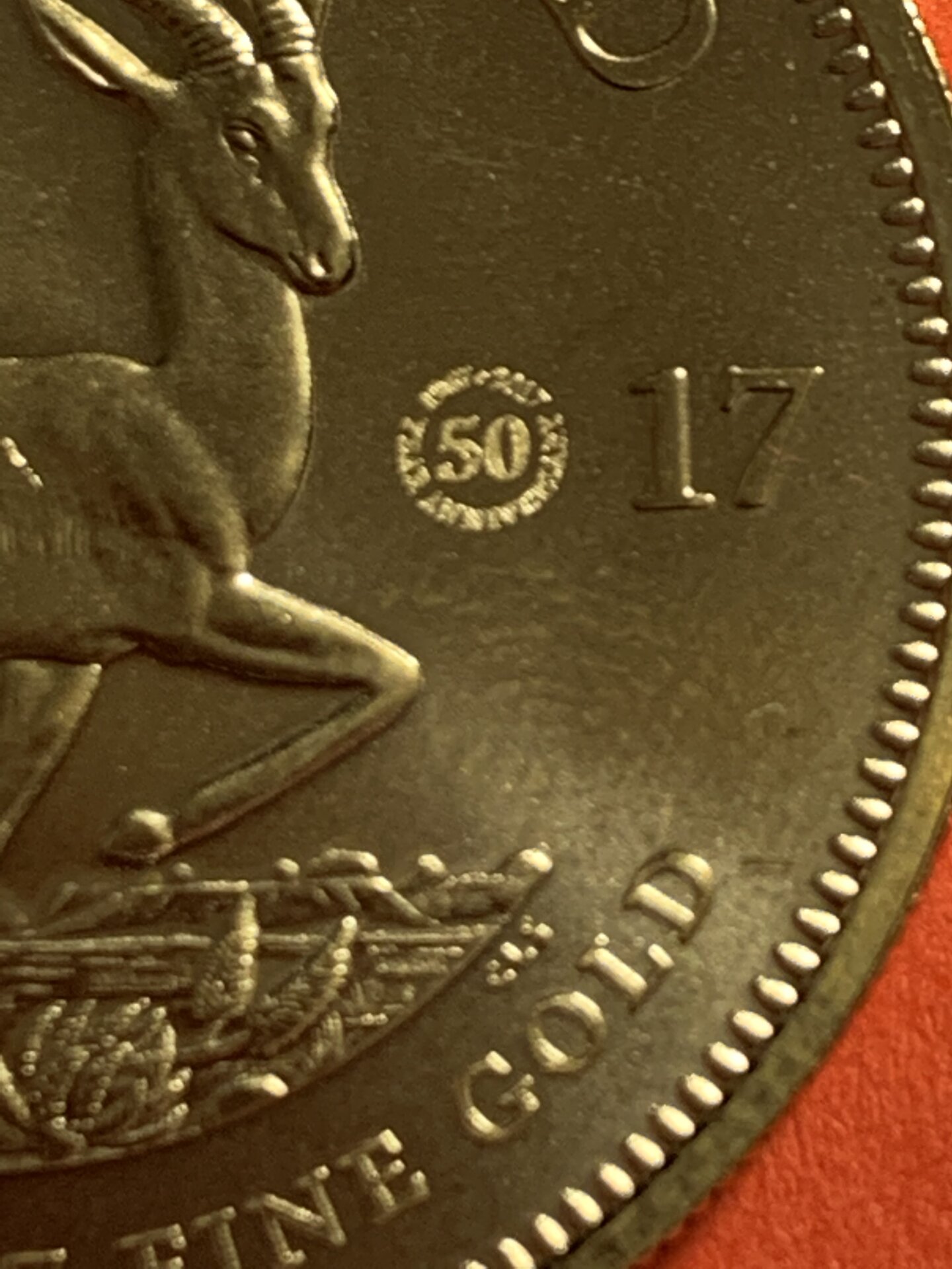 D6834C67-490B-4D19-9D3D-78D26EE72523.jpeg