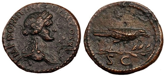D710.jpg