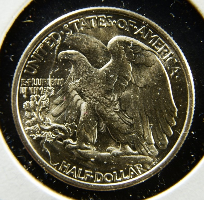 D75_1887b.jpg